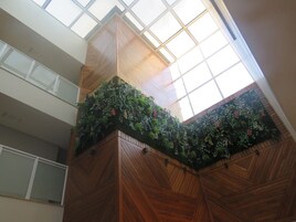 Un techo alto con tragaluces, paneles de madera y una pared verde con plantas.