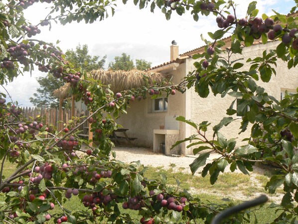 Exterior - Les Truffiers Yourtes et roulotte (Limans)