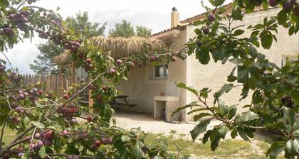 Les Truffiers Yourtes et roulotte