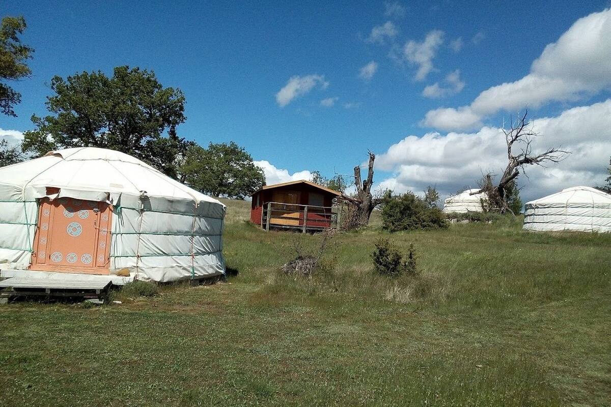 Tent, Multiple Beds, Non Smoking | Terrace/patio