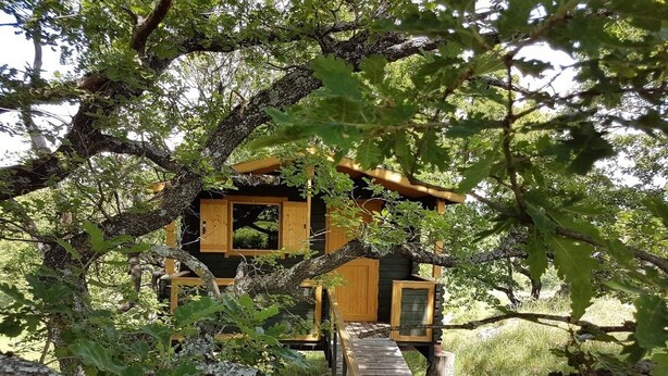 A treehouse with a wooden staircase leading up to it, surrounded by lush greenery. - LES TRUFFIERS Cabane (Limans)