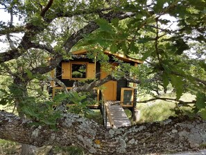 Une cabane perchée dans un arbre, accessible par un escalier en bois, et entourée d’une végétation luxuriante.