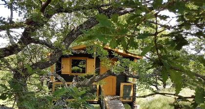 LES TRUFFIERS Cabane