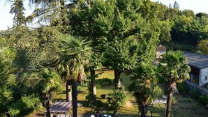 A garden with palm trees, a gazebo, and a house in the background. - Le Trianon de Salies (Salies-de-Bearn)