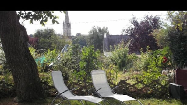 Dos sillones vacíos en un jardín con un árbol y diversas plantas.