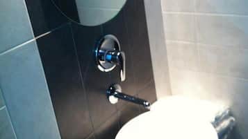 Shower, free toiletries, hair dryer, slippers