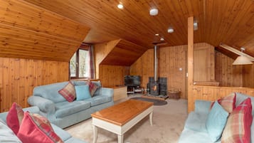 Fernseher, Kamin