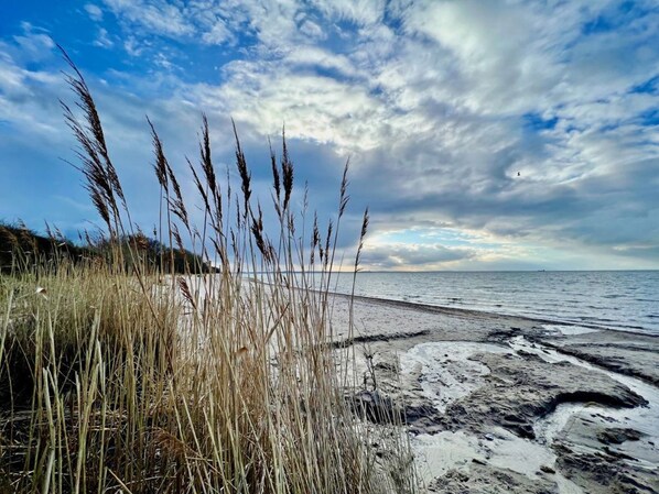 Unclassified image, 1 of 40, button