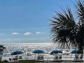 Nära stranden
