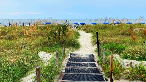 A pathway leading to beach umbrellas, surrounded by grass and sand. - Hilton Head Luxury Condo! Coligny, Dining, Family, Golf - Sleeps 10 
 STR#045066 (Hilton Head Island)