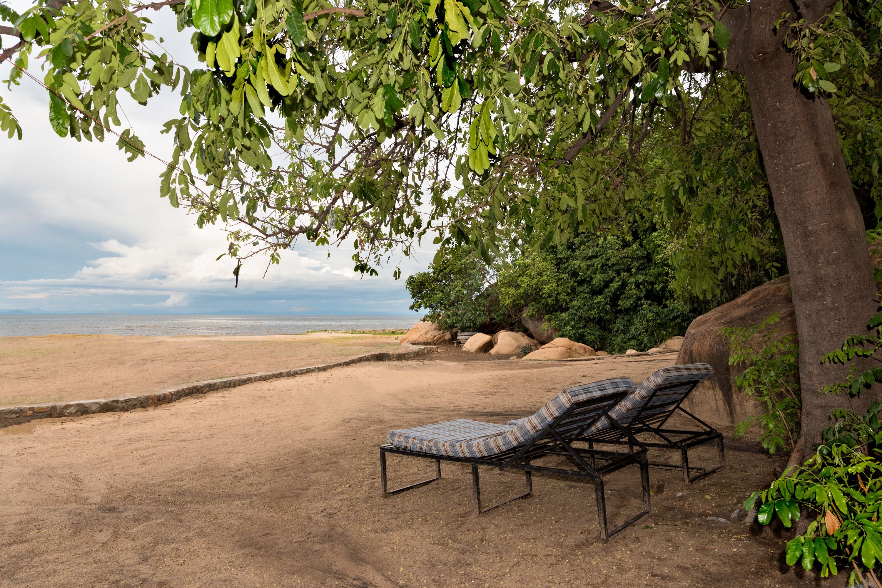 Una playa con dos tumbonas bajo un árbol, un sendero de arena y vista al océano.