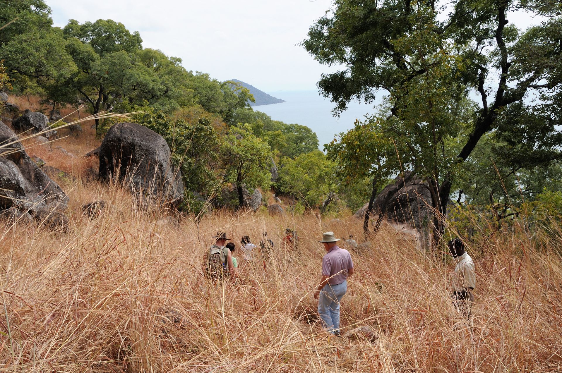 A group of people in a natural setting with trees and a view of the sea.