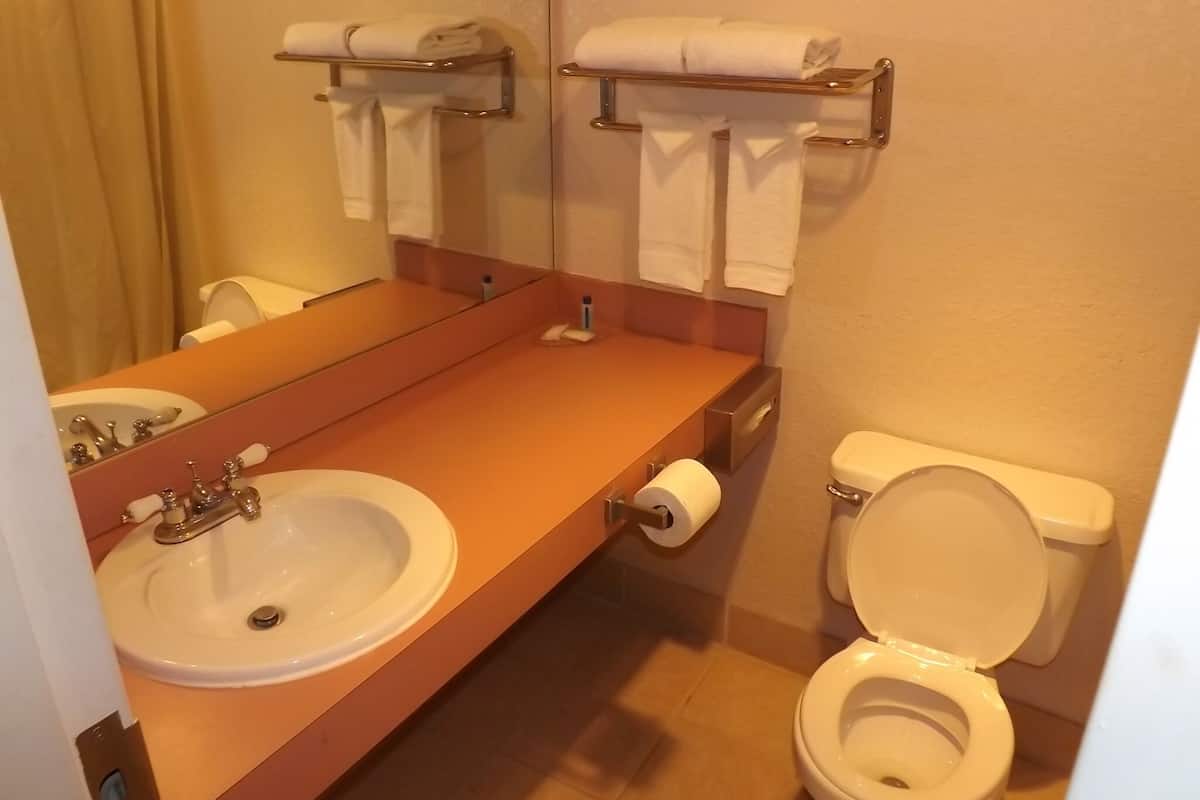 combined shower/bathtub, towels, soap, shampoo