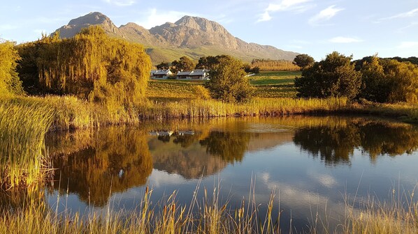 A serene landscape with a calm lake reflecting the surrounding trees and mountains. - Mont Angelis Retreat (Stellenbosch)