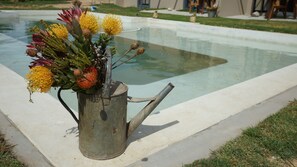 Alberca al aire libre y camastros 