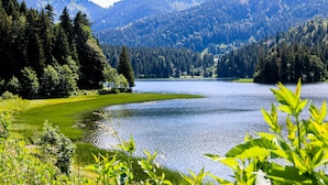 Un lac entouré de collines boisées.