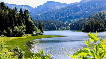 Land view from property