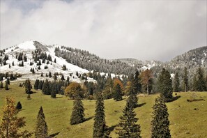Hiking