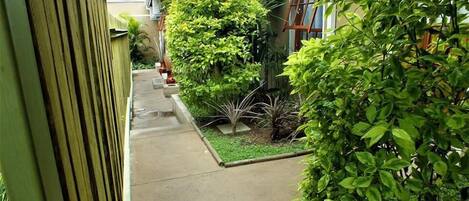 Un estrecho sendero de concreto bordeado por plantas verdes y una valla de madera.