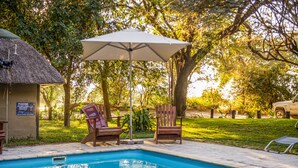 A swimming pool with lounge chairs and an umbrella, surrounded by trees and a thatched-roof structure. - Zambezi Mubala Camp (Katima Mulilo)