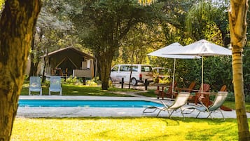 Outdoor pool, pool umbrellas, pool loungers