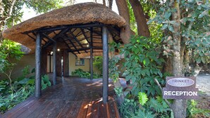 A wooden pathway leading to a thatched-roof structure labeled 'TRINKET TROVE RECEPTION'. - Zambezi Mubala Camp (Katima Mulilo)