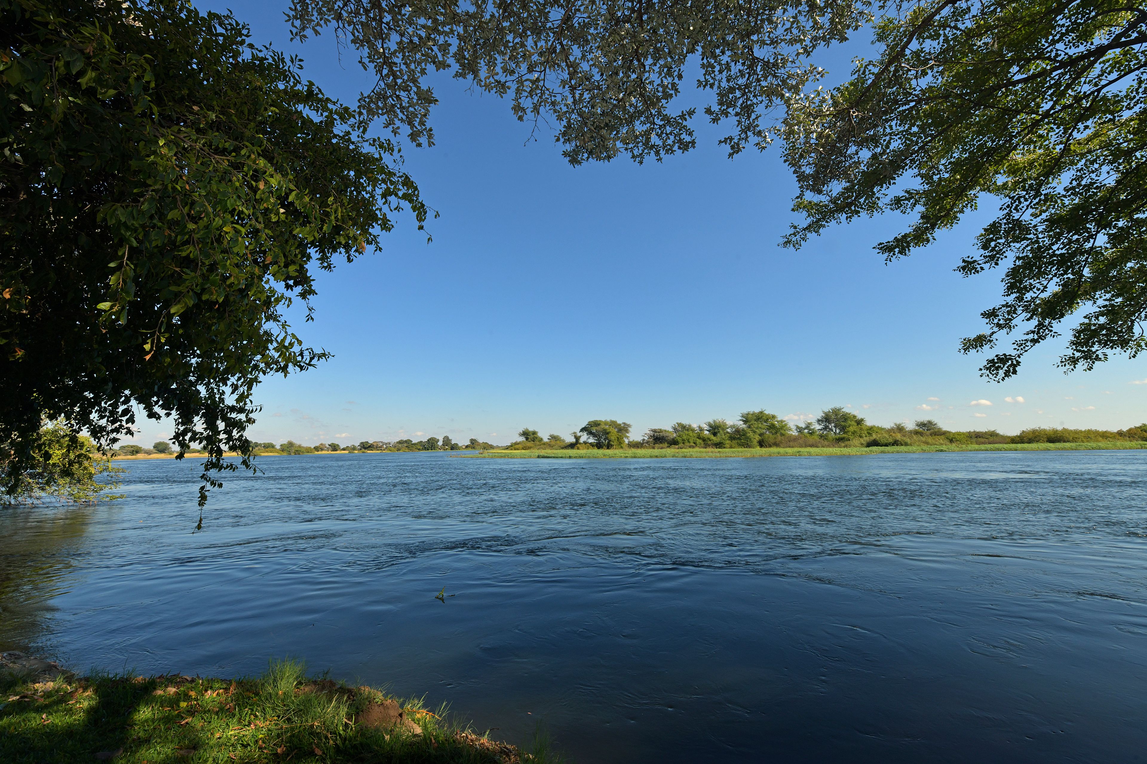 Un fiume calmo con alberi lungo le rive e un cielo azzurro limpido.