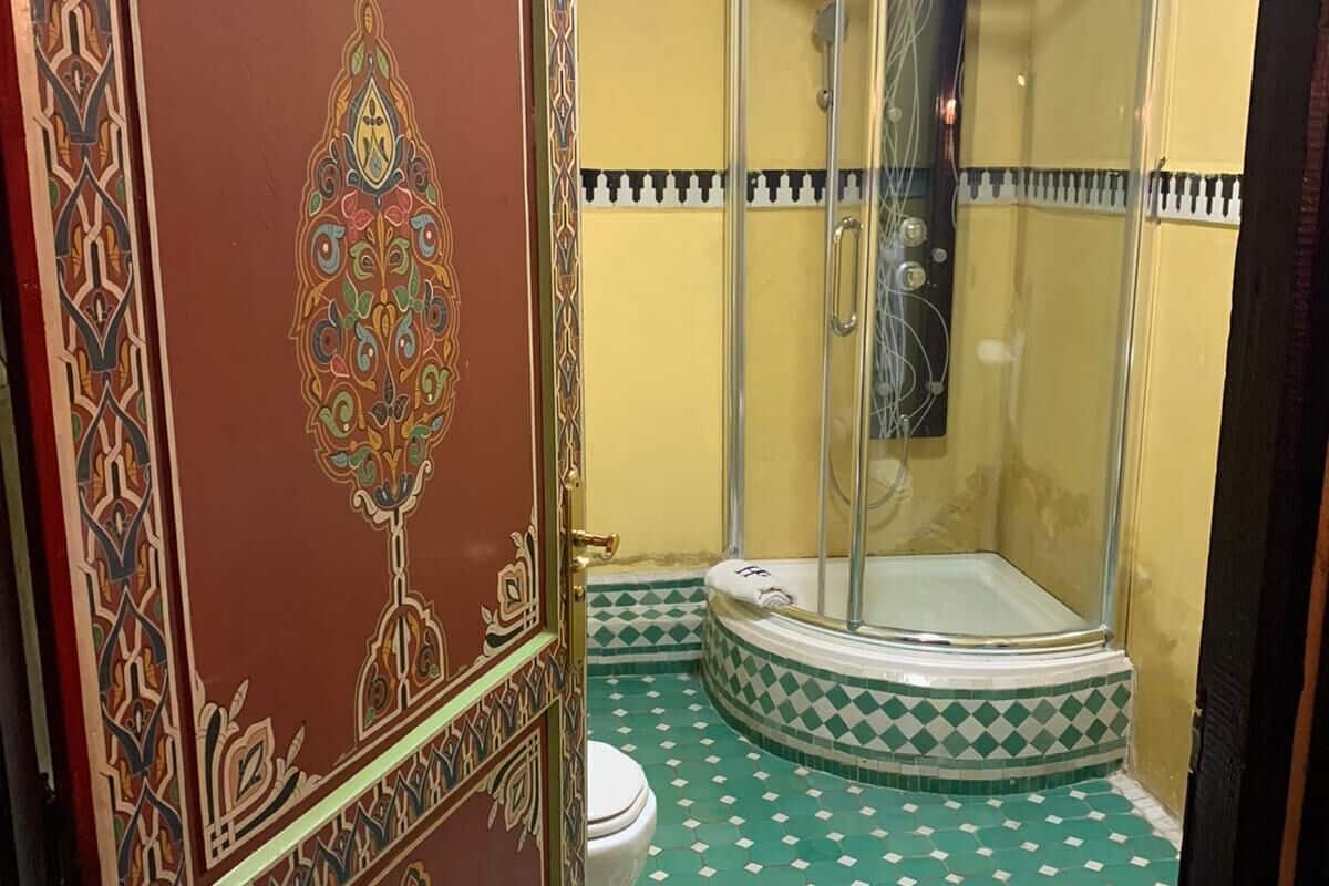 Casa de banho com chuveiro, sanita e porta decorativa.