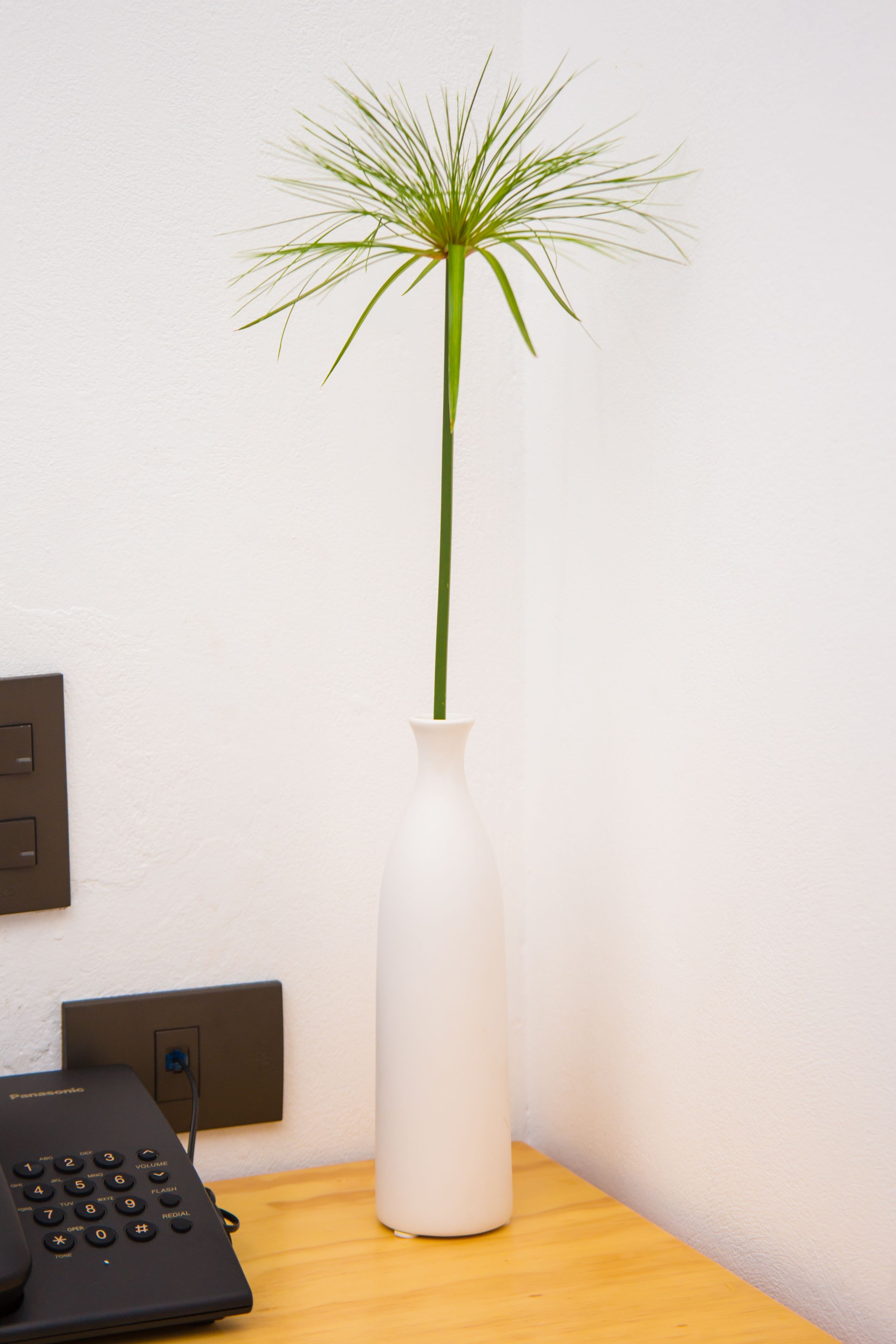 single room, non smoking | 1 bedroom, blackout curtains, free wifi, bed sheets