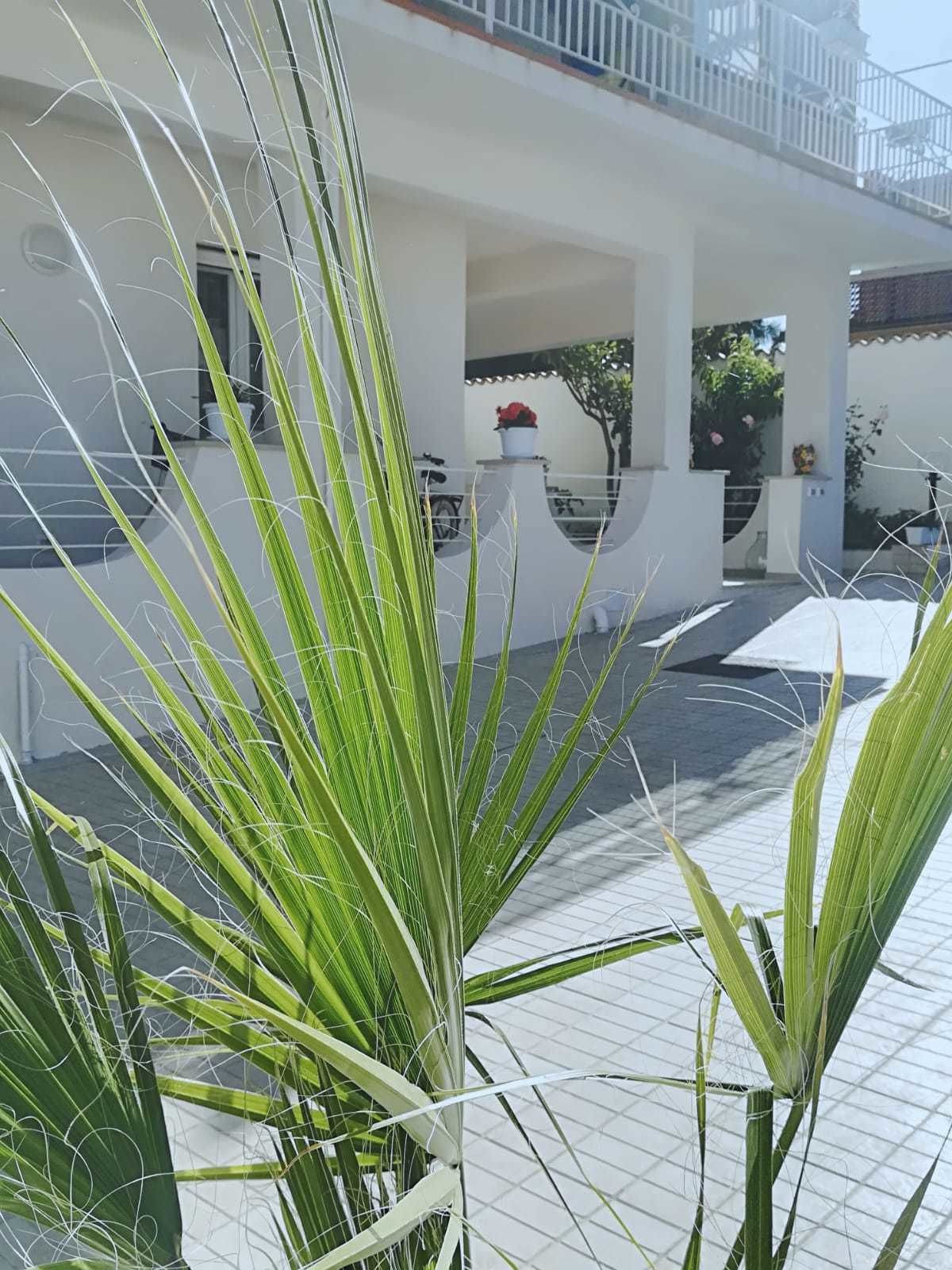 Photo - Villa Sece - Luxury Rooms