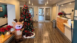 Un hall d’hôtel décoré d’un sapin de Noël, avec un comptoir d’accueil et un grand renne en peluche.