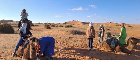 A desert landscape with people riding camels.