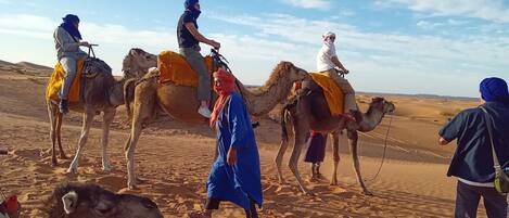 A desert landscape with camels and people riding them.