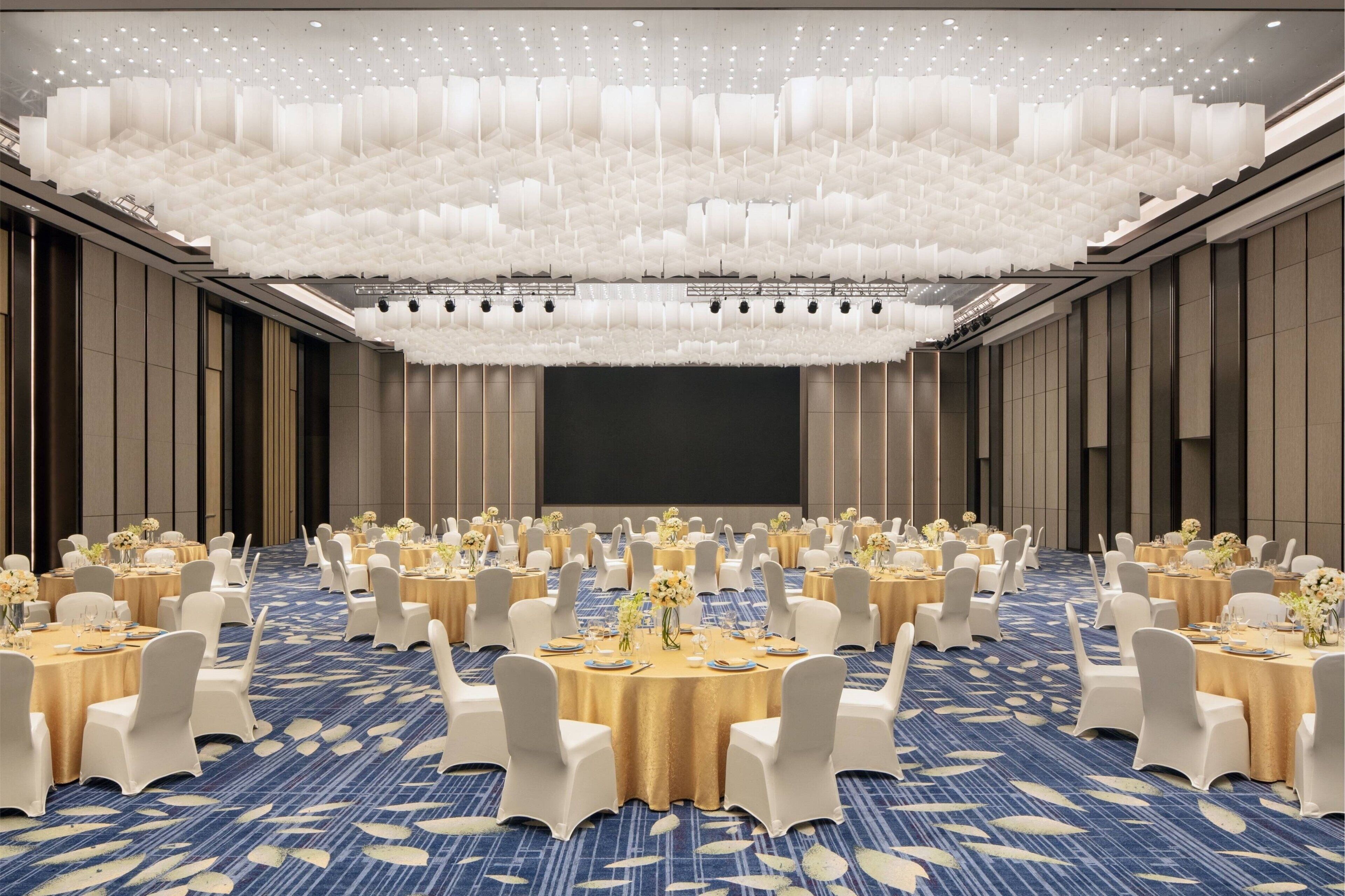 A large conference room with round tables, white chairs, and a blue carpet.