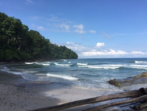 A beach with waves, a sandy shore, and a forested cliff. - Luxury Spectacular views Infinity Pool Sleeps 9 Private Playa Blanca  Costa Rica (Punta Leona)