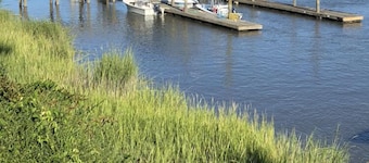 Fishing, or just hanging out in beautiful Shellman Bluff... minutes from Marina.