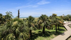 A coastal area with palm trees, a wooden boardwalk, and a clear view of the beach. - Beachfront, Spacious, Community Pool, Pet Friendly! 2-The-Beach (Indian Pass)