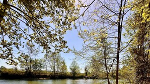 Un sendero a la orilla del río con escalones de madera que conducen a una masa de agua tranquila, rodeada de árboles y hojas secas.
