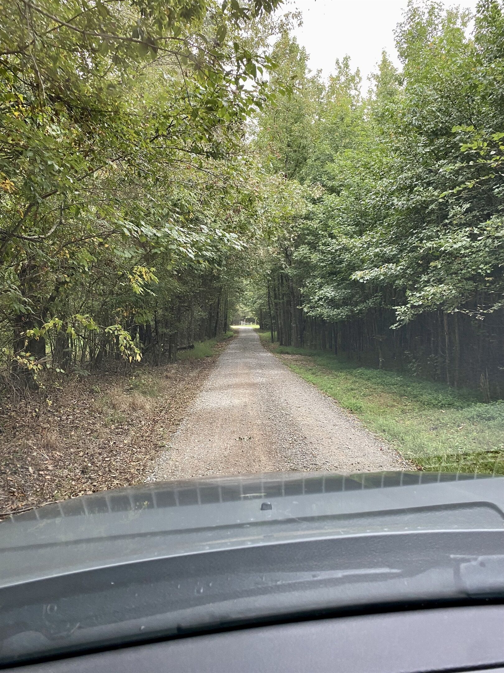 Een grindweg langs dichte bomen, die voert de beboste omgeving in.