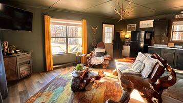 Smart TV, fireplace, DVD player, books