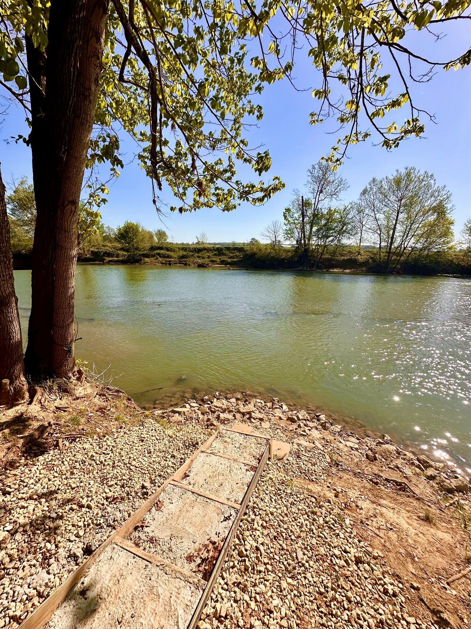 Orilla de río con un camino de madera, árboles y cielo despejado.