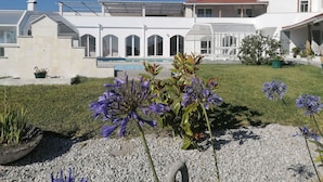 A modern house with a swimming pool, a garden with purple flowers, and a clear blue sky.