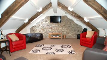 Smart TV, fireplace, DVD player, books