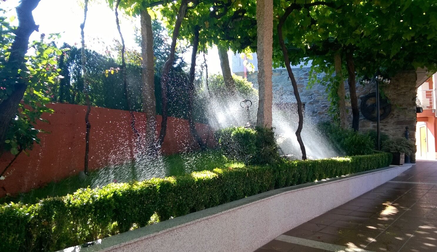Un sendero bordeado por setos y árboles podados, que conduce a un edificio con fachada de piedra.