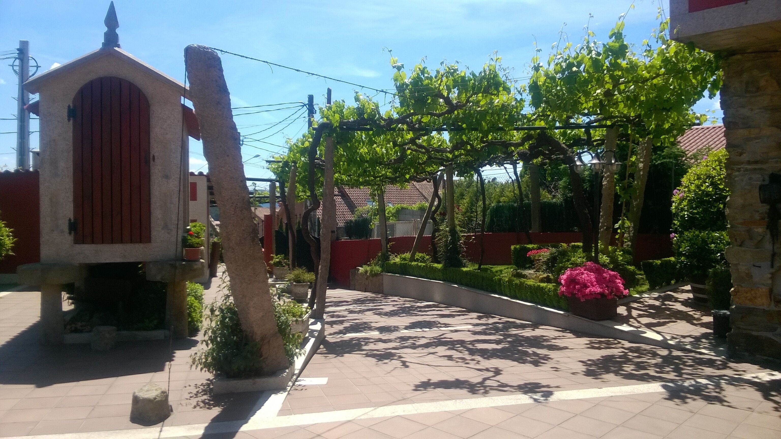 Une cour avec un petit bâtiment, une pergola couverte de plantes grimpantes et un mur de pierre.
