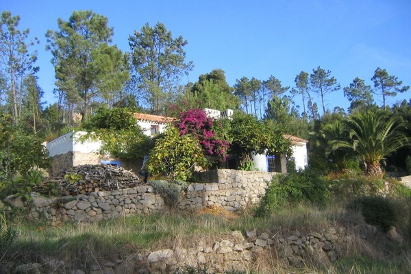Quinta da Relva in early morning sun