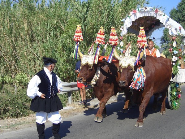A person leading two decorated bulls down a street.