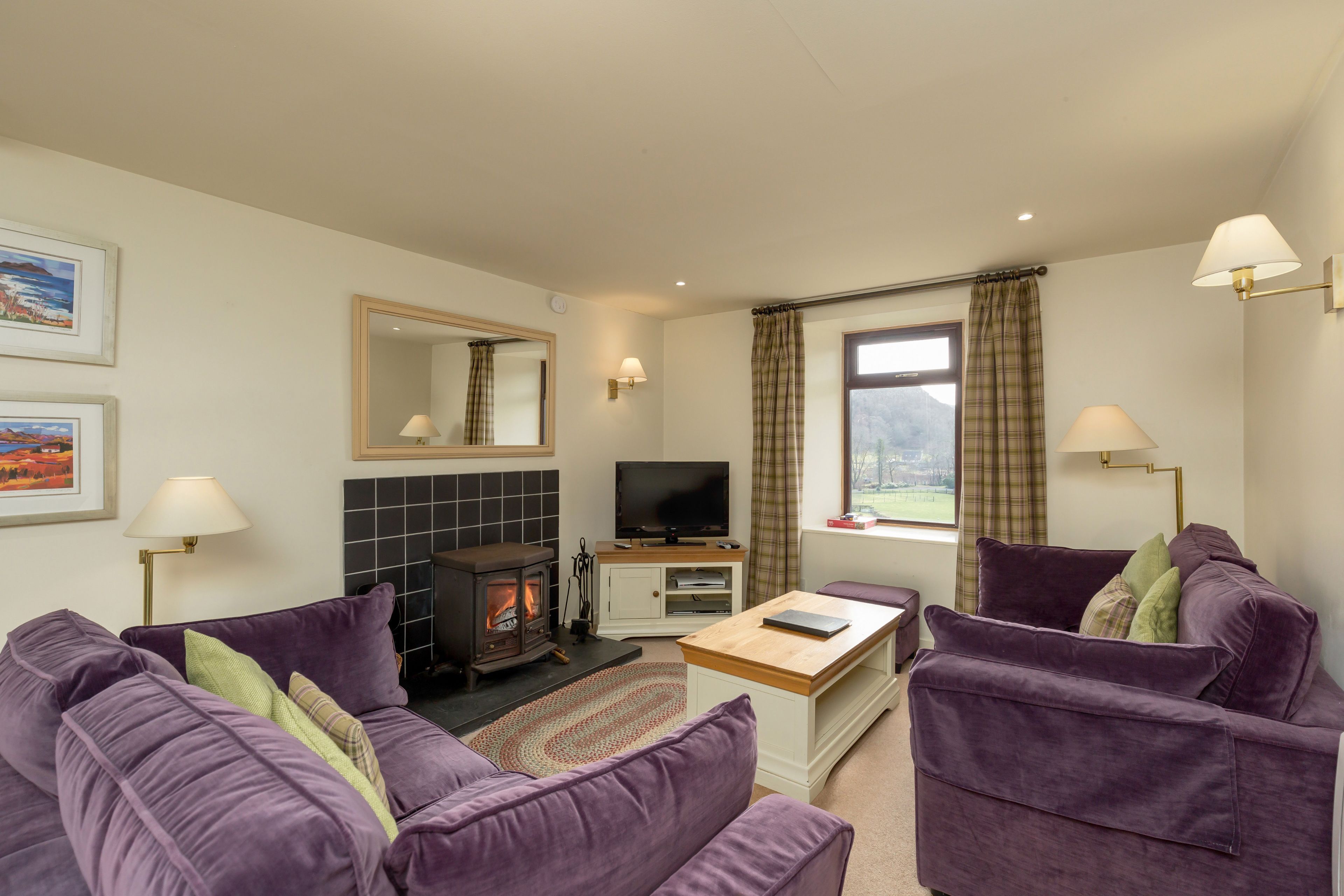 Televisión y chimenea 