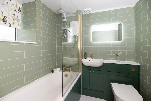 Combined shower/tub, hair dryer
