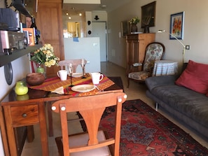 TV, DVD player, books, music library